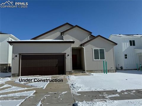 456 Galveston Terrace Calhan CO 80808