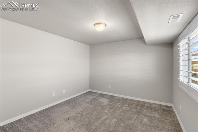 7408 Rufous Fronted View