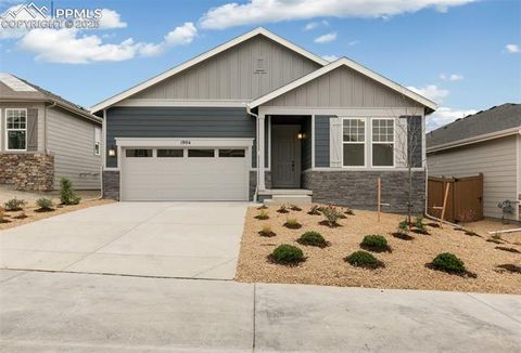 1904 Water Birch Way Castle Rock CO 80108
