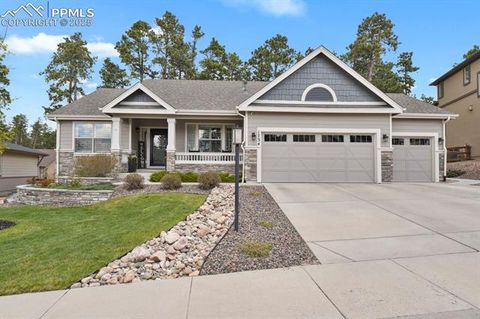 1734 Lazy Cat Lane Monument CO 80132