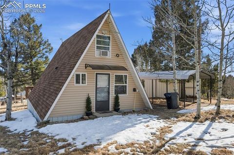 Tiny photo for 169 Evergreen Road, Woodland Park, CO 80863 (MLS # 3070743)