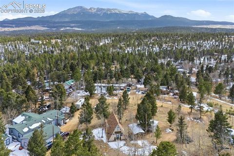 Tiny photo for 169 Evergreen Road, Woodland Park, CO 80863 (MLS # 3070743)