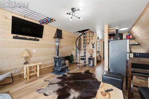 Tiny photo for 169 Evergreen Road, Woodland Park, CO 80863 (MLS # 3070743)