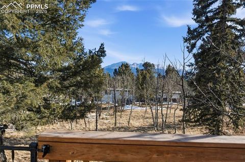 Tiny photo for 169 Evergreen Road, Woodland Park, CO 80863 (MLS # 3070743)
