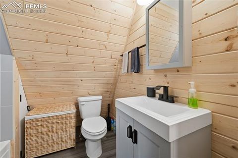 Tiny photo for 169 Evergreen Road, Woodland Park, CO 80863 (MLS # 3070743)