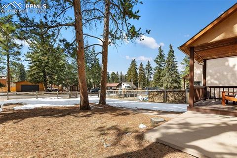 Tiny photo for 509 N Center Street, Woodland Park, CO 80863 (MLS # 9560802)