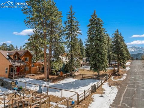 Tiny photo for 509 N Center Street, Woodland Park, CO 80863 (MLS # 9560802)
