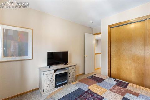 Tiny photo for 509 N Center Street, Woodland Park, CO 80863 (MLS # 9560802)