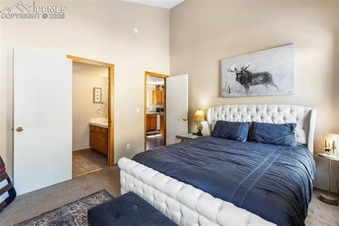 Tiny photo for 509 N Center Street, Woodland Park, CO 80863 (MLS # 9560802)