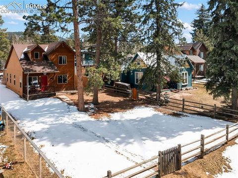 Tiny photo for 509 N Center Street, Woodland Park, CO 80863 (MLS # 9560802)
