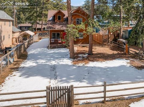 Photo of 509 N Center Street, Woodland Park, CO 80863 (MLS # 9560802)
