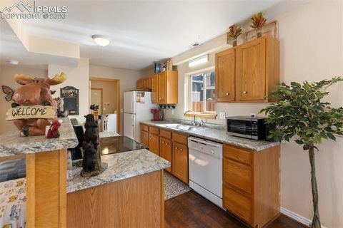 Tiny photo for 509 N Center Street, Woodland Park, CO 80863 (MLS # 9560802)