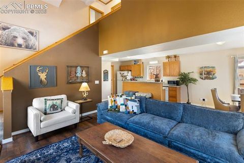 Tiny photo for 509 N Center Street, Woodland Park, CO 80863 (MLS # 9560802)
