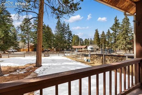 Tiny photo for 509 N Center Street, Woodland Park, CO 80863 (MLS # 9560802)