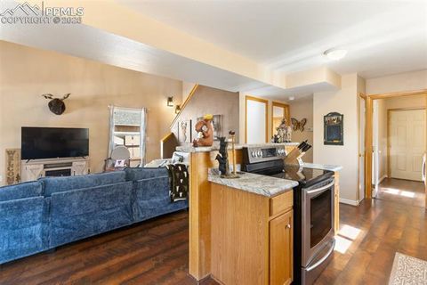 Tiny photo for 509 N Center Street, Woodland Park, CO 80863 (MLS # 9560802)