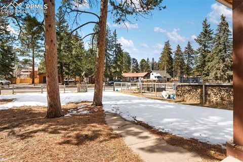 Tiny photo for 509 N Center Street, Woodland Park, CO 80863 (MLS # 9560802)