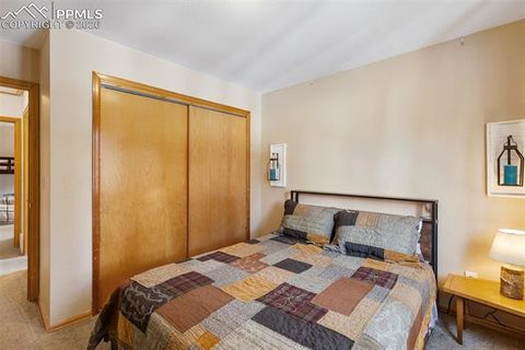 Tiny photo for 509 N Center Street, Woodland Park, CO 80863 (MLS # 9560802)