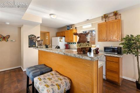 Tiny photo for 509 N Center Street, Woodland Park, CO 80863 (MLS # 9560802)