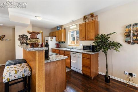 Tiny photo for 509 N Center Street, Woodland Park, CO 80863 (MLS # 9560802)