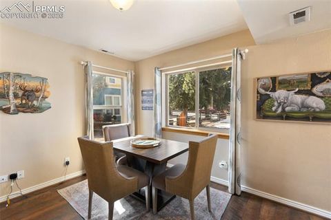 Tiny photo for 509 N Center Street, Woodland Park, CO 80863 (MLS # 9560802)