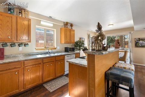 Tiny photo for 509 N Center Street, Woodland Park, CO 80863 (MLS # 9560802)