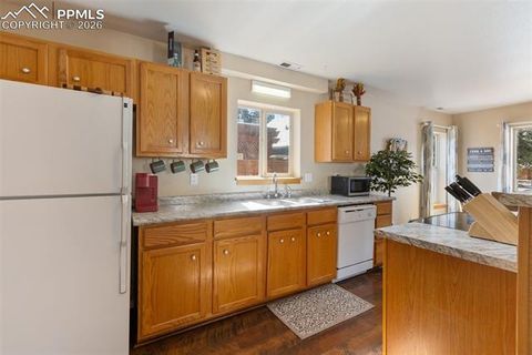 Tiny photo for 509 N Center Street, Woodland Park, CO 80863 (MLS # 9560802)