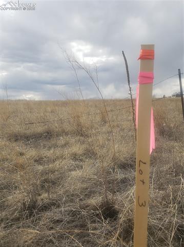 Properties For Sale Listings 14655 Davis Road