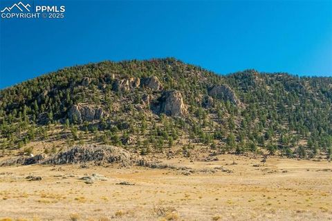 Photo of 1354 Puma Hills Road, Lake George, CO 80827 (MLS # 3107092)