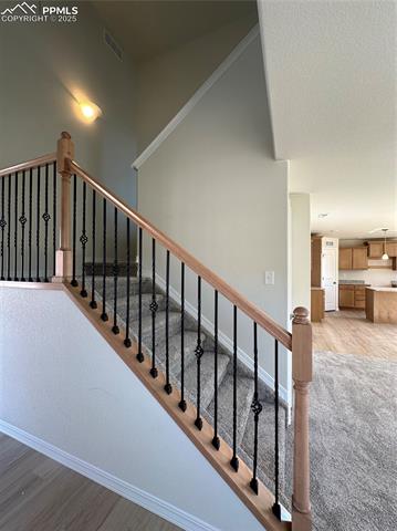 5062 Ruffner Court