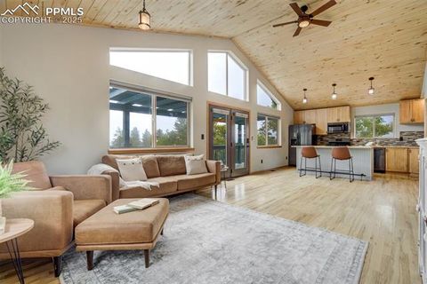 Tiny photo for 163 Big Horn Lane, Florissant, CO 80816 (MLS # 1276315)