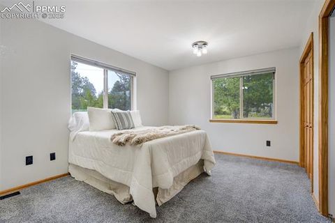 Tiny photo for 163 Big Horn Lane, Florissant, CO 80816 (MLS # 1276315)