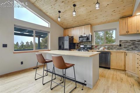 Tiny photo for 163 Big Horn Lane, Florissant, CO 80816 (MLS # 1276315)