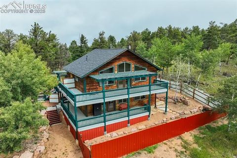 Photo of 163 Big Horn Lane, Florissant, CO 80816 (MLS # 1276315)