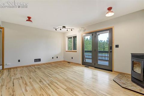 Tiny photo for 163 Big Horn Lane, Florissant, CO 80816 (MLS # 1276315)