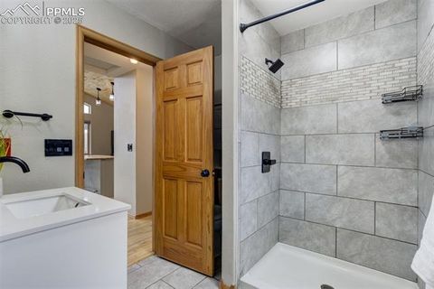 Tiny photo for 163 Big Horn Lane, Florissant, CO 80816 (MLS # 1276315)