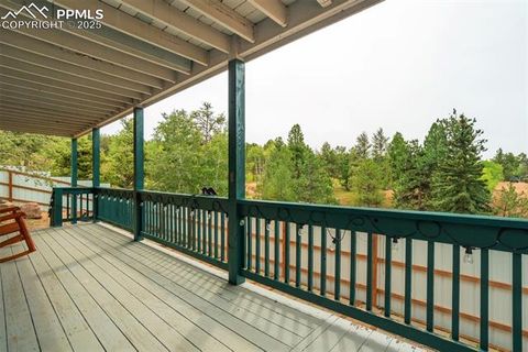 Tiny photo for 163 Big Horn Lane, Florissant, CO 80816 (MLS # 1276315)