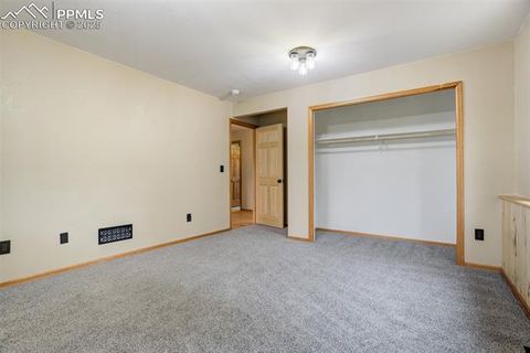 Tiny photo for 163 Big Horn Lane, Florissant, CO 80816 (MLS # 1276315)