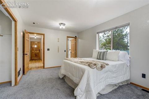 Tiny photo for 163 Big Horn Lane, Florissant, CO 80816 (MLS # 1276315)