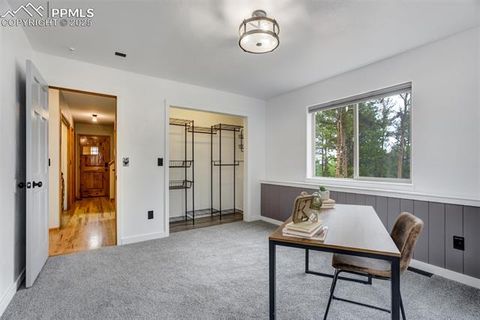 Tiny photo for 163 Big Horn Lane, Florissant, CO 80816 (MLS # 1276315)