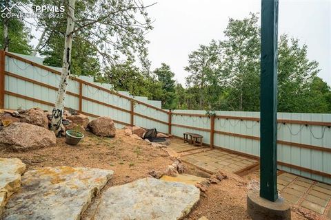 Tiny photo for 163 Big Horn Lane, Florissant, CO 80816 (MLS # 1276315)