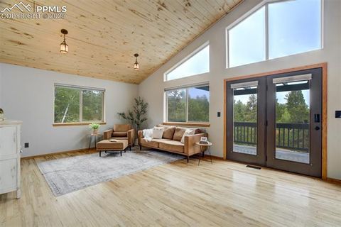 Tiny photo for 163 Big Horn Lane, Florissant, CO 80816 (MLS # 1276315)