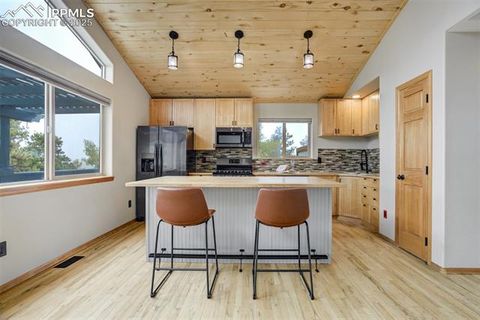 Tiny photo for 163 Big Horn Lane, Florissant, CO 80816 (MLS # 1276315)