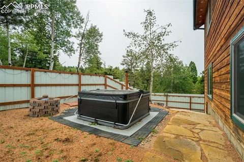 Tiny photo for 163 Big Horn Lane, Florissant, CO 80816 (MLS # 1276315)