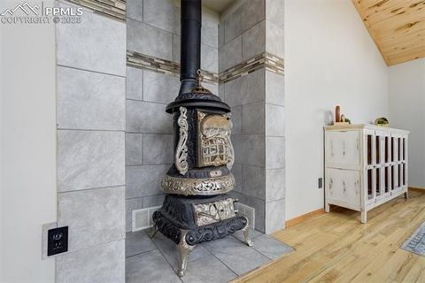 Tiny photo for 163 Big Horn Lane, Florissant, CO 80816 (MLS # 1276315)