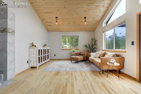 Tiny photo for 163 Big Horn Lane, Florissant, CO 80816 (MLS # 1276315)