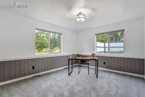 Tiny photo for 163 Big Horn Lane, Florissant, CO 80816 (MLS # 1276315)