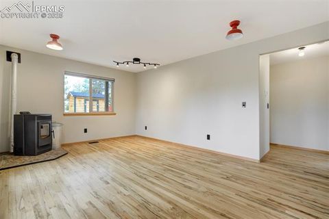 Tiny photo for 163 Big Horn Lane, Florissant, CO 80816 (MLS # 1276315)