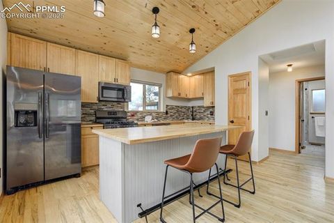 Tiny photo for 163 Big Horn Lane, Florissant, CO 80816 (MLS # 1276315)