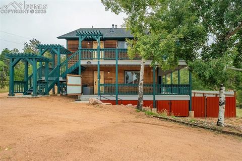 Tiny photo for 163 Big Horn Lane, Florissant, CO 80816 (MLS # 1276315)