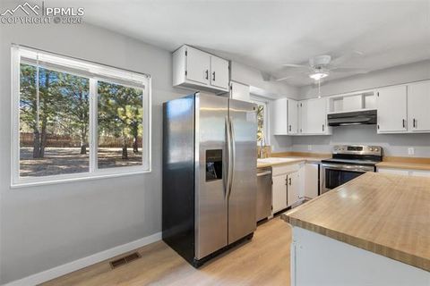 Tiny photo for 1260 Sundance Street, Woodland Park, CO 80863 (MLS # 8277947)